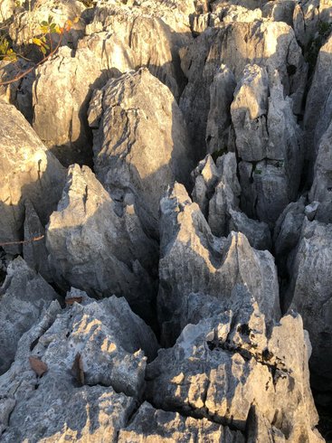 Hébergement AbracadaRoom : Ardeche river glamping - Image 36