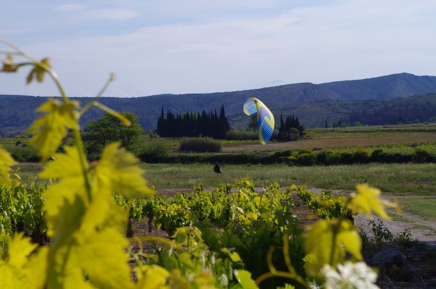 Domaine AbracadaRoom : Domaine La Peiriere - Image 14