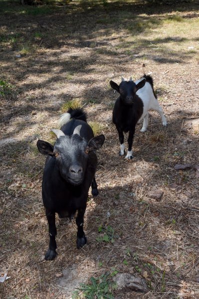 Domaine AbracadaRoom : Airial des Monges - Image 12