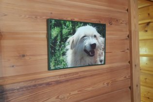 Camping Écovillage Vacances Soleil du Pibeste