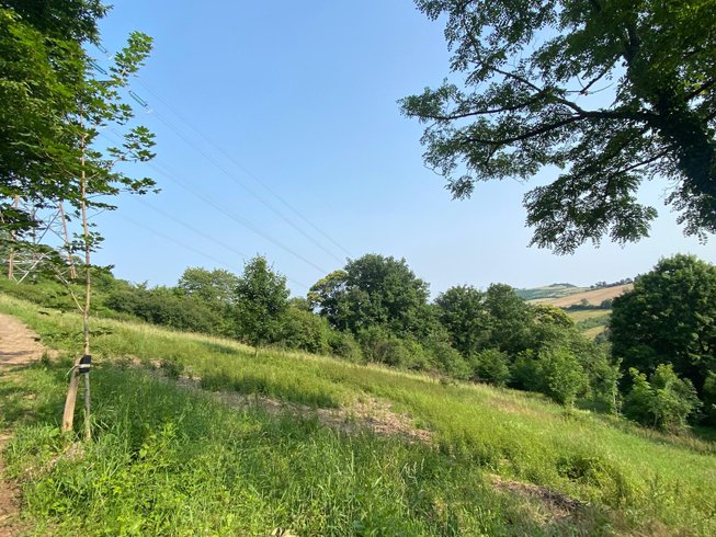 Hébergement AbracadaRoom : Cabane autonome dans les bois - Image 13
