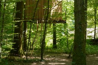 Cabane dans les arbres Jura