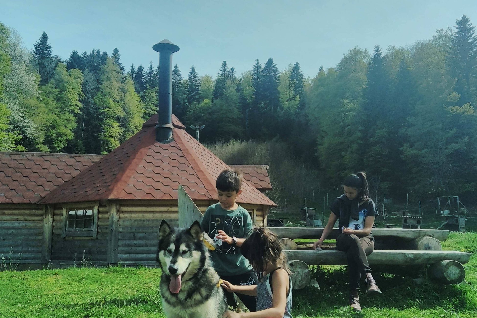 Hébergement UnicStay : Kota 3 Inari - Séjour inoubliable auprès de huskies à Vassieux-En-Vercors