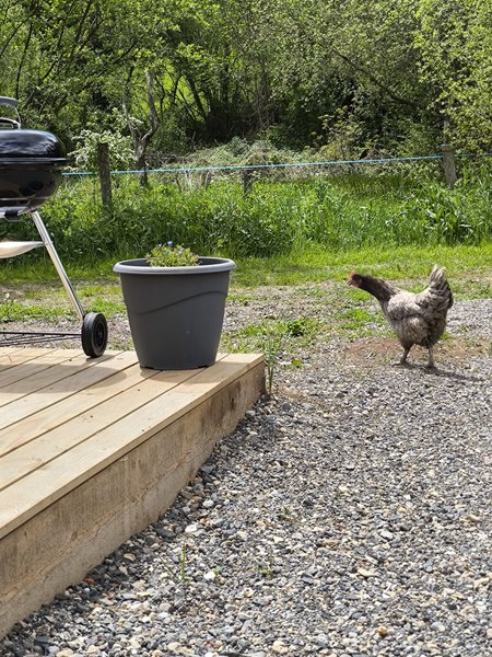 Hébergement AbracadaRoom : Kota finlandais - Le Moulin du Cheix - Image 11