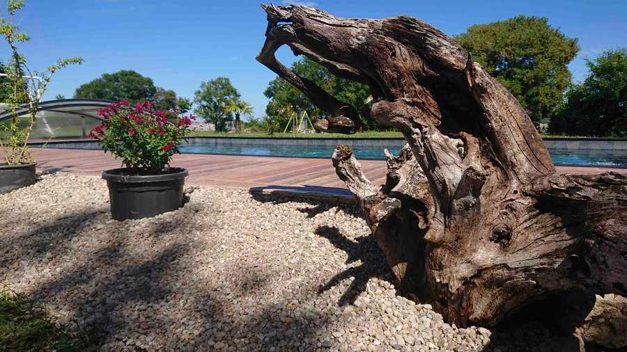 Domaine AbracadaRoom : CÉLÉ BULLES ÉTOILÉES - Image 5