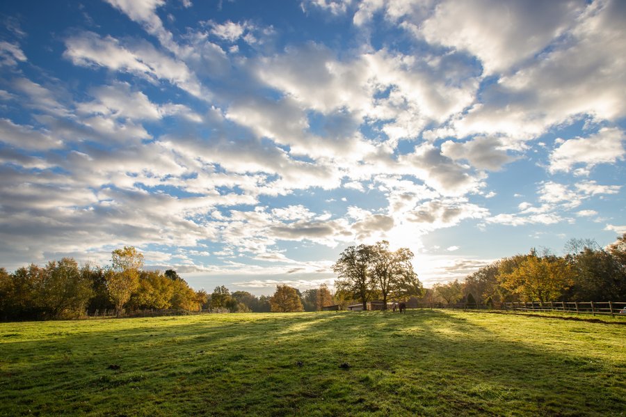 Domaine AbracadaRoom : Homnest (Puybegon) - Image 8