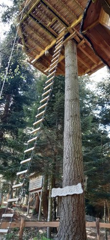 Domaine AbracadaRoom : Cabanes de Labrousse - Image 12
