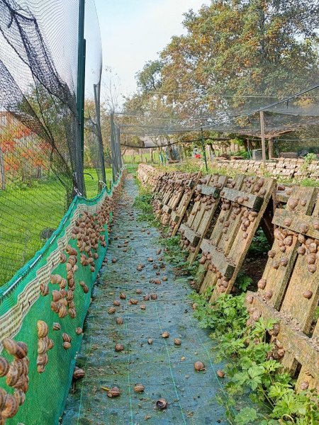 Domaine AbracadaRoom : Homnest (Uzemain) - Image 21