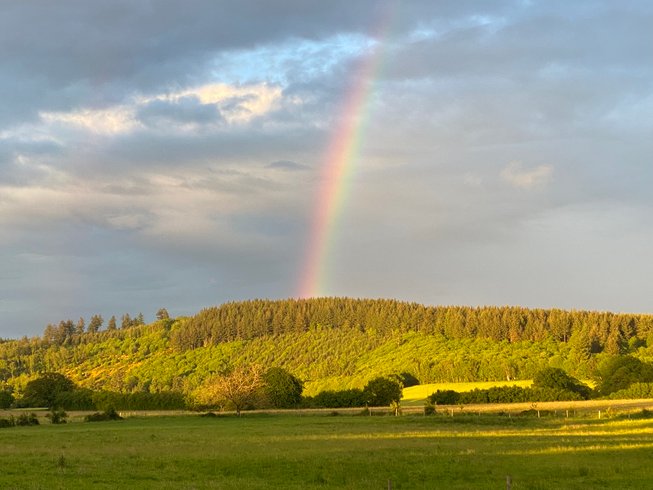 Hébergement AbracadaRoom : Roulotte 360°nature - Image 16