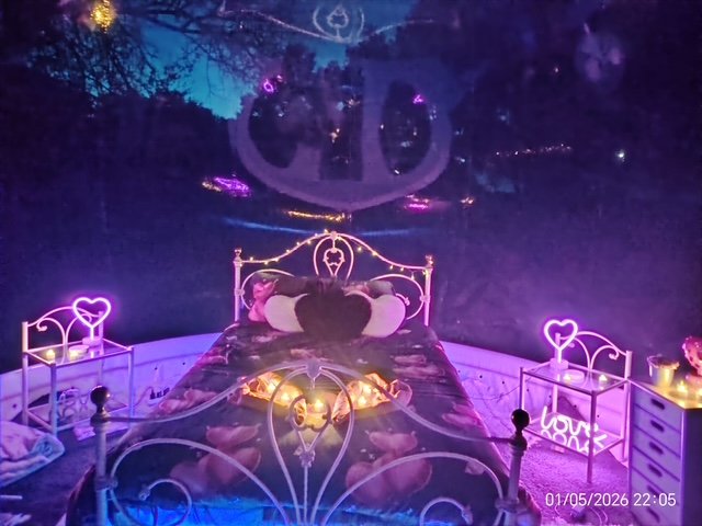 Hébergement AbracadaRoom : La bulle des 2 arbres de la sagesse - Image 30