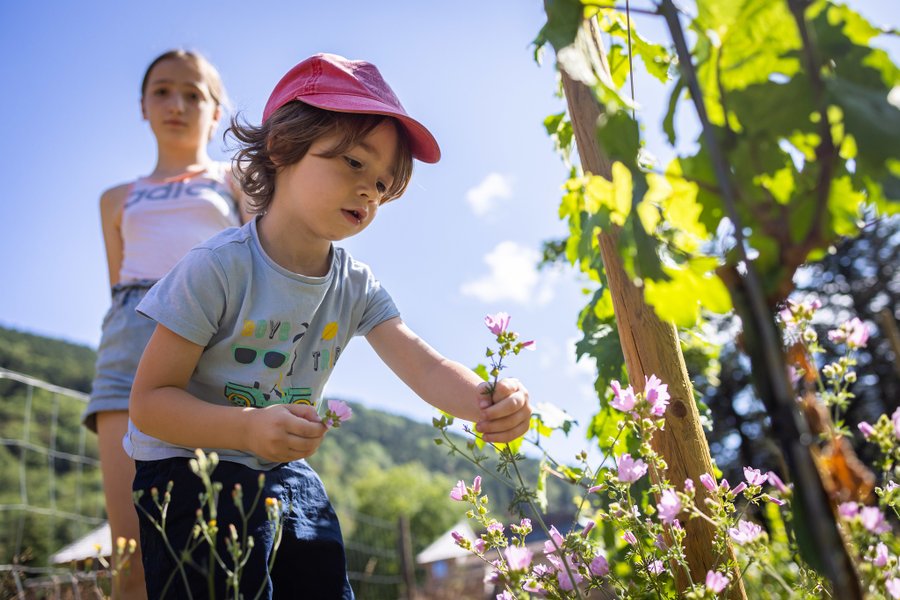 Hébergement AbracadaRoom : La Cabane du Vigneron & Spa - Image 14