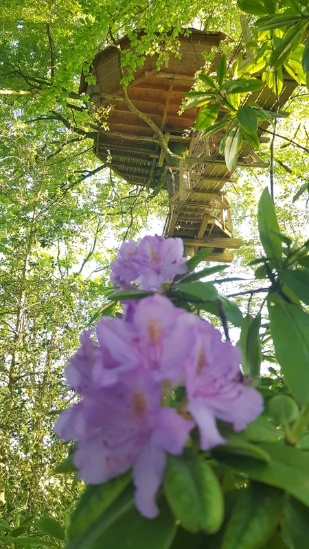 La cabane Haut-Perchée & Spa à Wail (5)