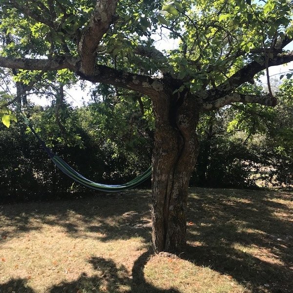 Domaine AbracadaRoom : aMiniMas - Image 9