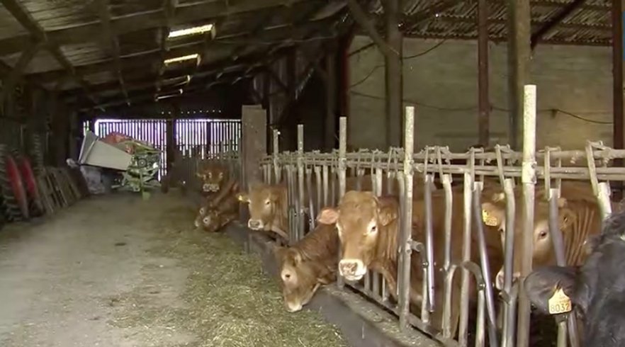 Domaine AbracadaRoom : Ferme des Coutures - Image 5