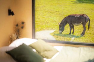 Parcel Tiny House - près des animaux dans le Jura