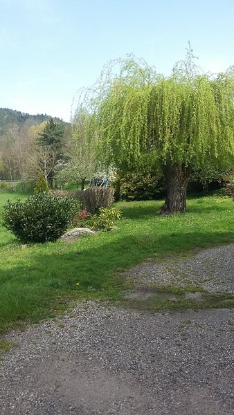 Domaine AbracadaRoom : Le Rêve de Charles - Image 3