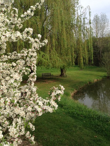 Domaine AbracadaRoom : Lac Appaloosa - Image 13