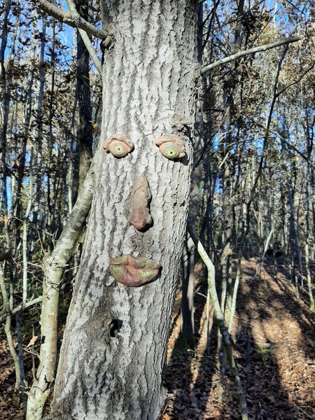 Domaine AbracadaRoom : Domaine Le Cul de Loup - Image 4