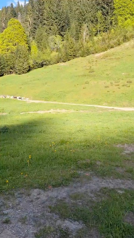 Cabane Le Saloon & Spa à Le Biot (25)