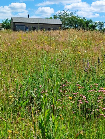 Hébergement AbracadaRoom : Cabane de l'Ecureuil & Bain nordique - Image 9