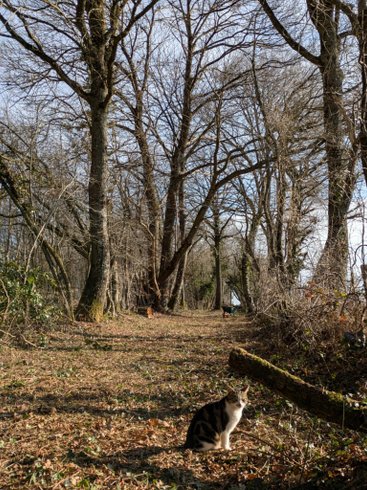 Domaine AbracadaRoom : Glamping La Fraventure - Image 29