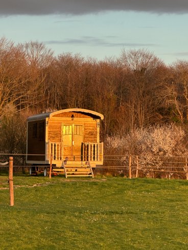 Domaine AbracadaRoom : Les roulottes des amis de Wonky - Image 3