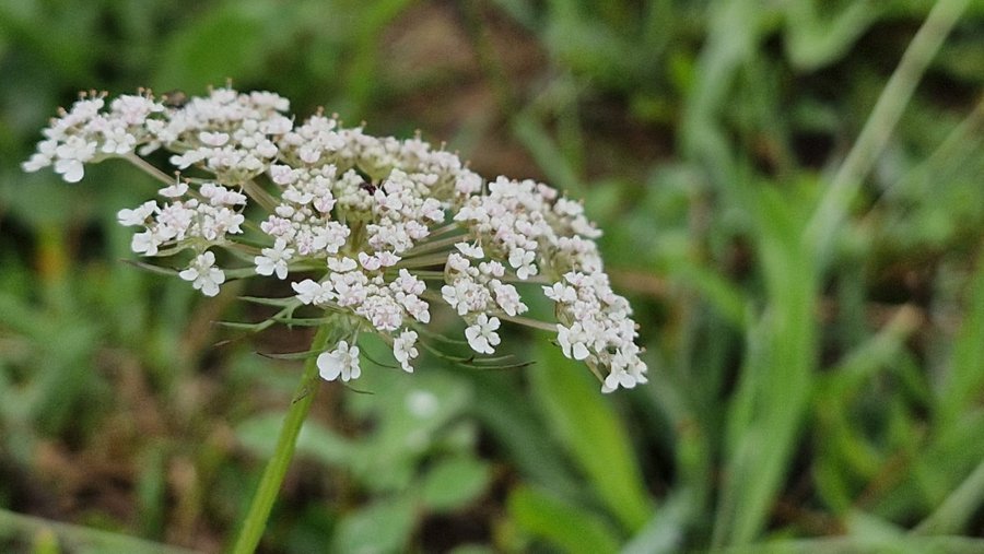 Domaine AbracadaRoom : Spiru'bulle - Image 15