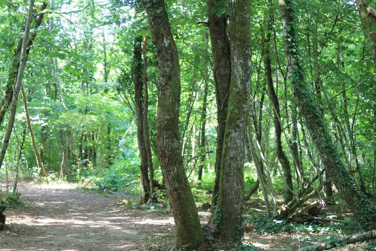 Domaine AbracadaRoom : L'Etoile Perchée - Image 10