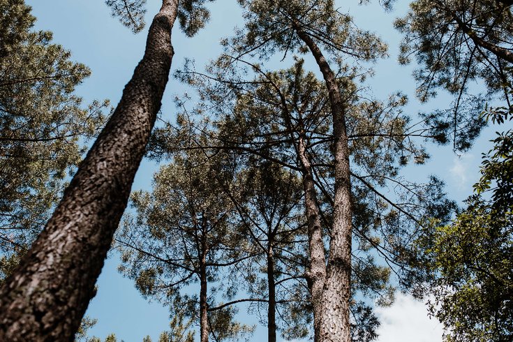 Domaine AbracadaRoom : Tiny Stay Ecolodge - Image 23