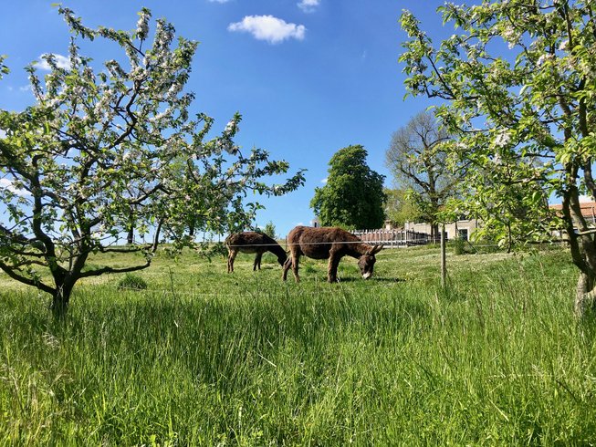 Domaine AbracadaRoom : Casa Sana - Image 11