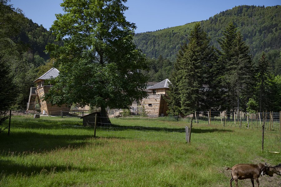 Domaine AbracadaRoom : Escale Cab'Ane - Image 7