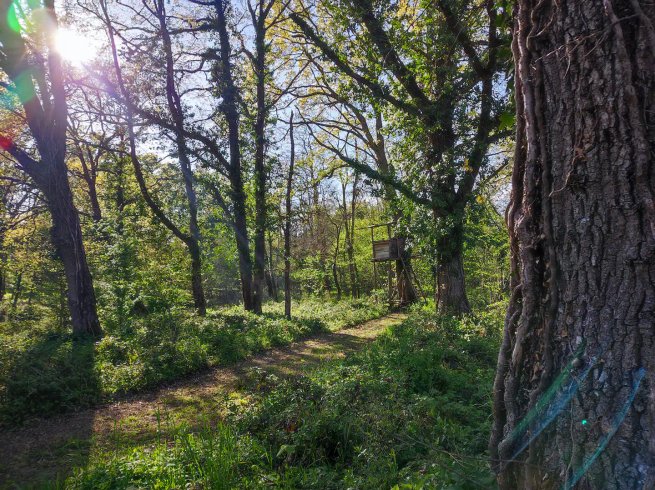 Hébergement AbracadaRoom : Cabane, spa et nature - Image 10