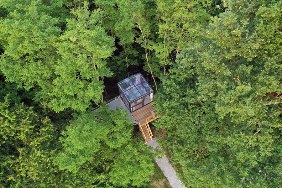 Hébergement AbracadaRoom : La Bulle au bois dormant & spa privatisable - Image 1