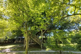 Cabane dans les arbres Oise