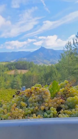 Hébergement AbracadaRoom : ※ Homnest ※ Cirque des Géants ※ Vignoble à 20 min de Die - Image 13