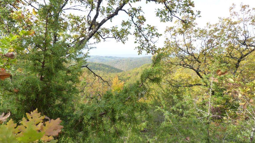 Hébergement AbracadaRoom : La Cabane-Spa Hobbit - Image 18