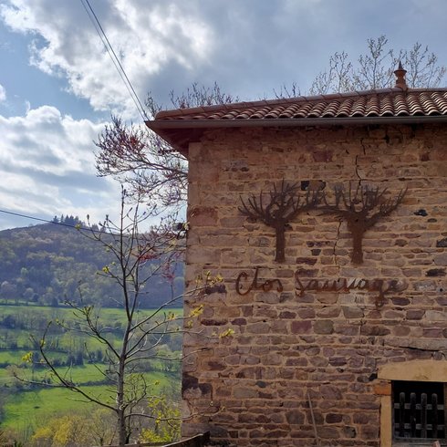 Domaine AbracadaRoom : Clos Sauvage - Image 2