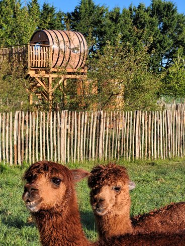 Hébergement AbracadaRoom : Coup de foudre en Anjou & Spa - Image 8