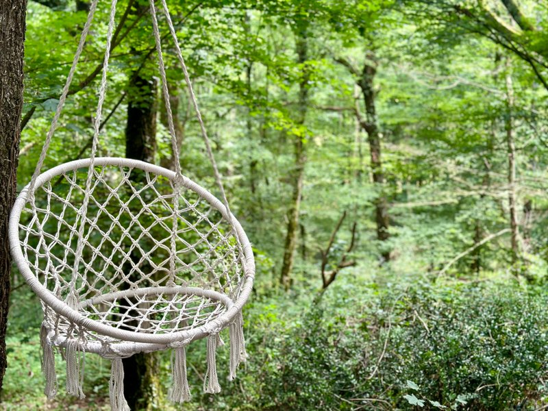 Domaine AbracadaRoom : Wild Lodge - Image 1