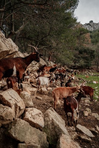 Domaine AbracadaRoom : Parcel Tiny House - au coeur de la Provence proche Marseille - Image 17