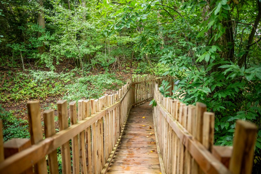 Hébergement AbracadaRoom : Cabane SPA Lov'nid - Image 32