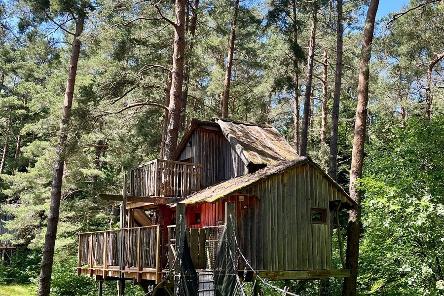 Cabane perchée Cosy Famille — photo 2