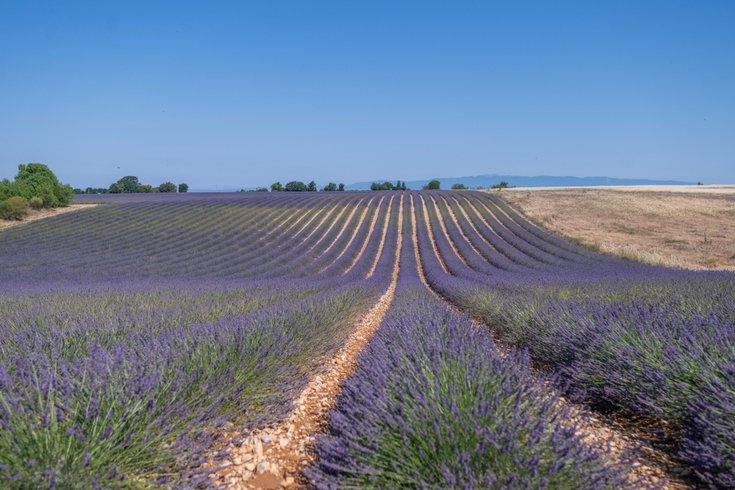 Domaine AbracadaRoom : Lavan'dôme - Image 11