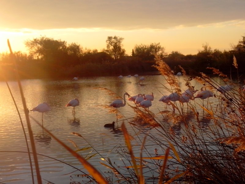 Domaine AbracadaRoom : Le Mazet de Jean - Image 1
