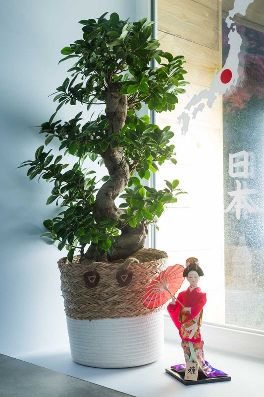 Le Jade Rouge spa & sauna à Barenton (40)