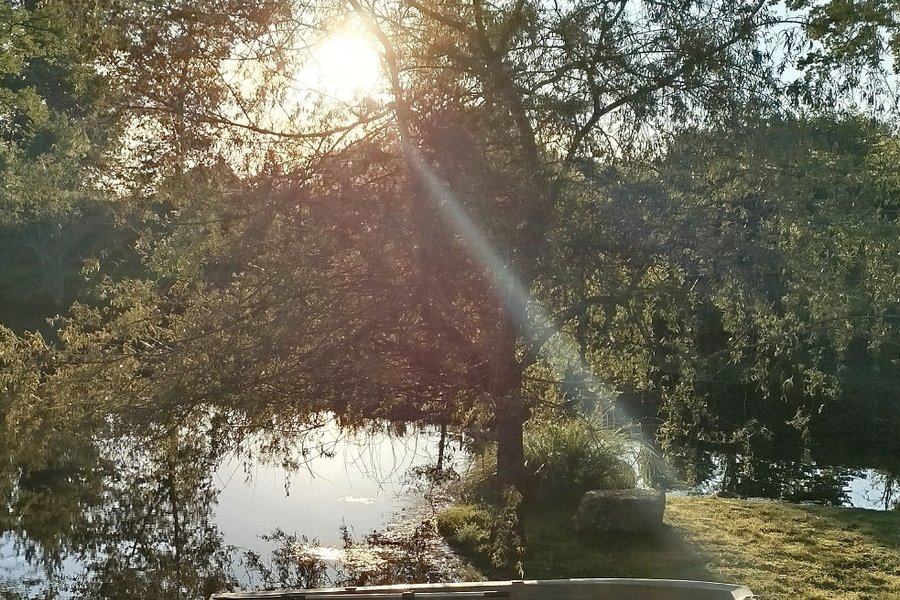 La cabane du Pêcheur — photo 2