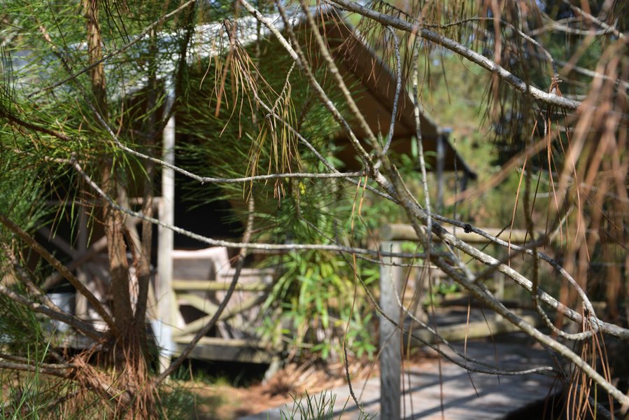 Domaine AbracadaRoom : Lo Rey du Lac - Image 14