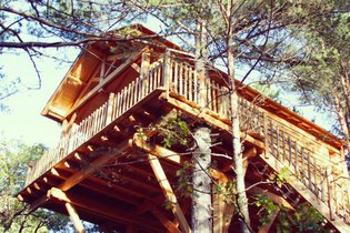 Cabane dans les arbres Hautes-Alpes