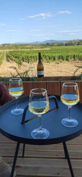 Hébergement AbracadaRoom : Ecolodge Lodges in Move - Domaine de Brau - Image 7