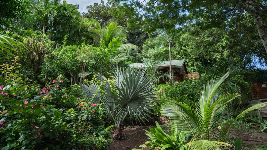 Hébergement AbracadaRoom : Case créole en bois - Image 15